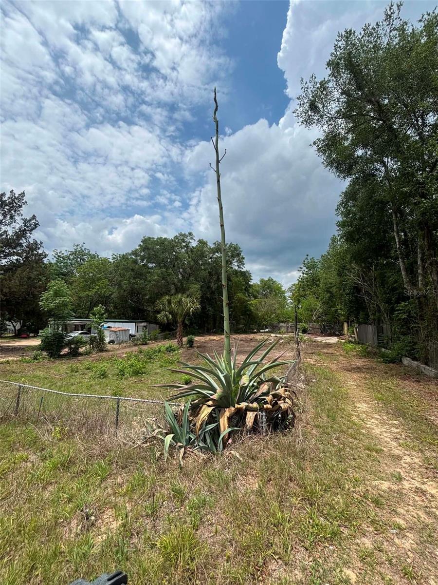 7480 LAKEVIEW ST, KEYSTONE HEIGHTS, FL, 32656