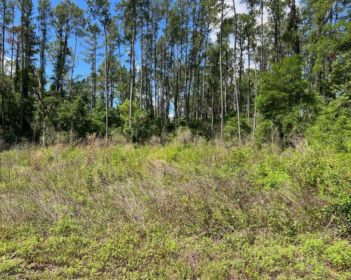 9976 N ATHENIA DR, CITRUS SPRINGS, FL, 34434