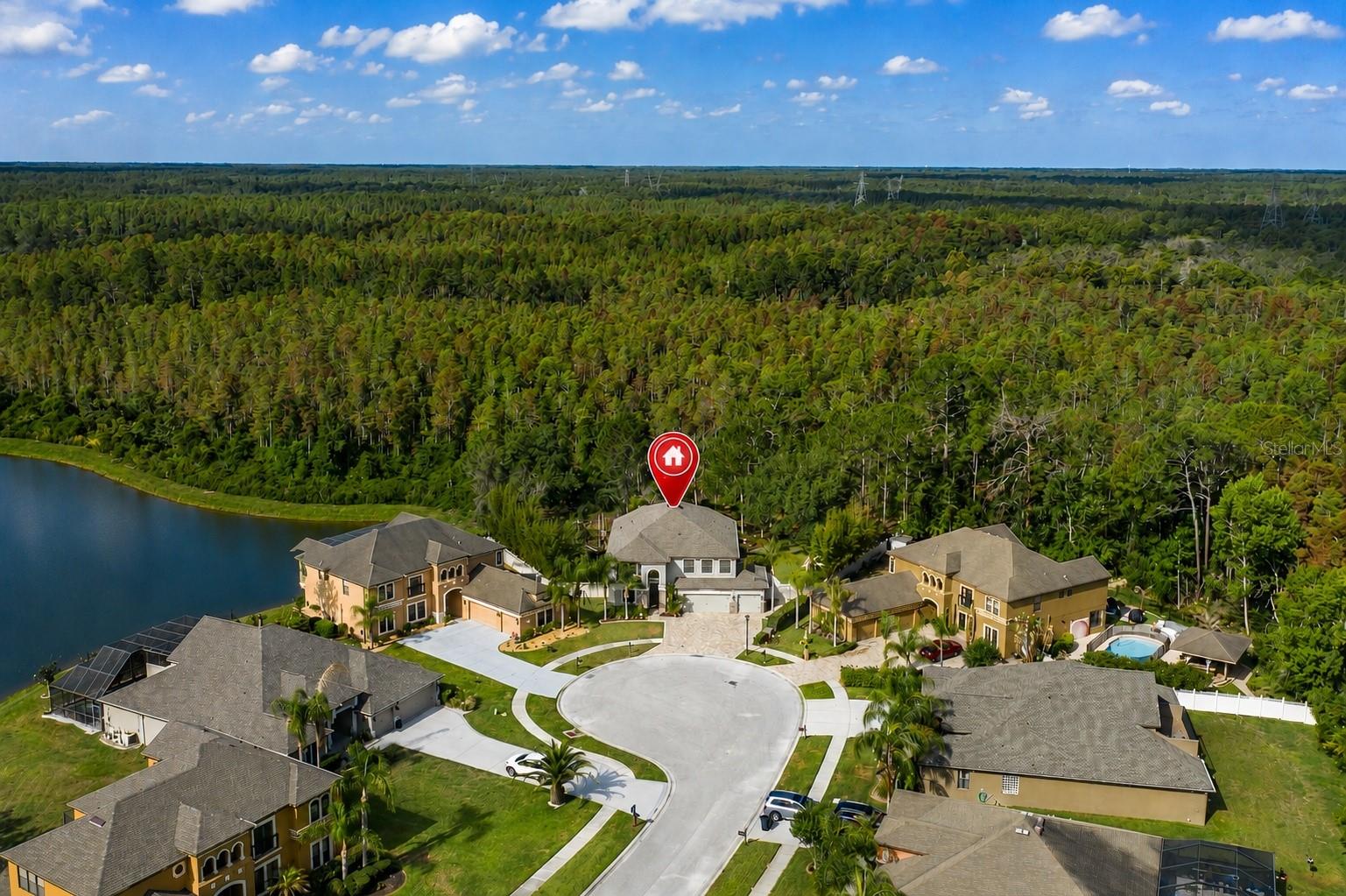 14810 NINEBARK CT, LAND O LAKES, FL, 34638