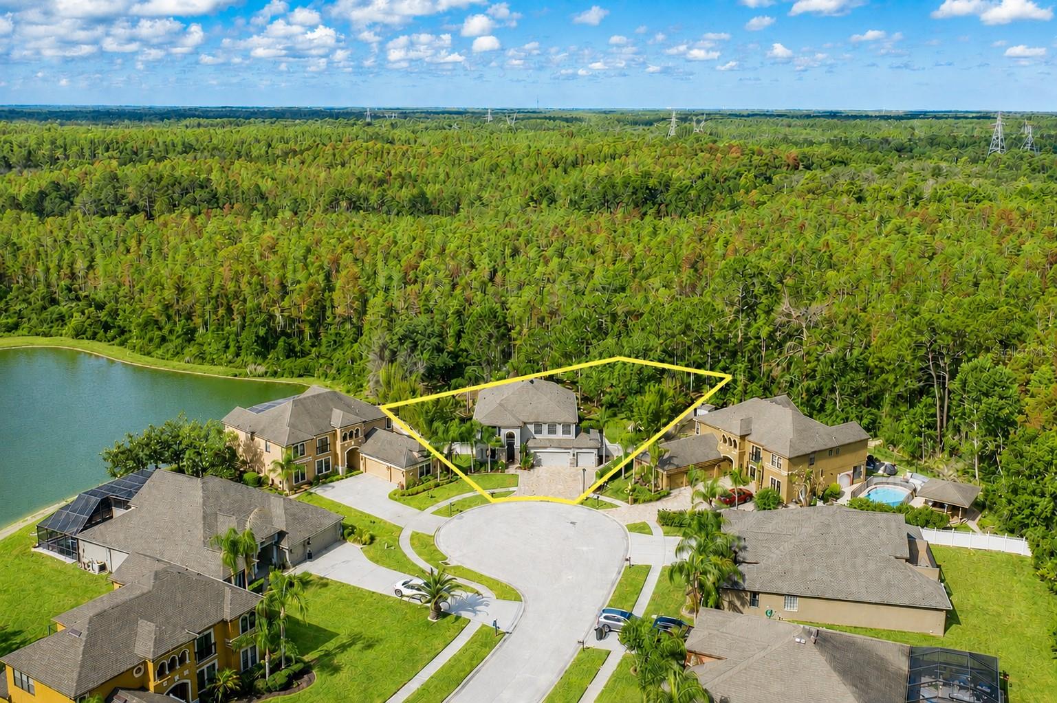 14810 NINEBARK CT, LAND O LAKES, FL, 34638