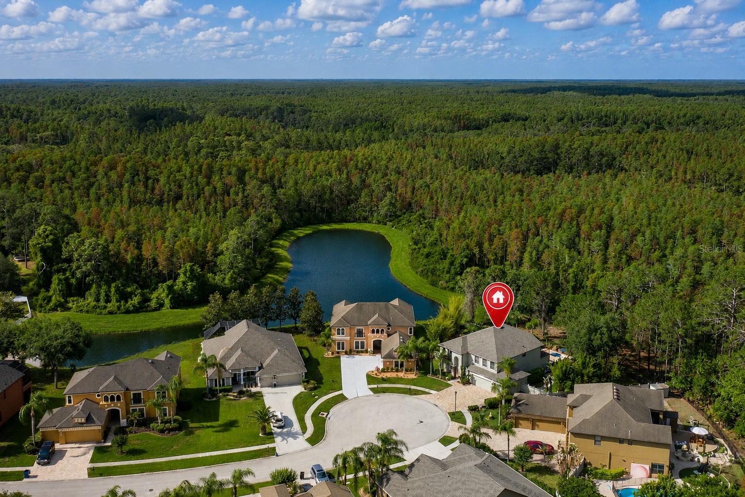 14810 NINEBARK CT, LAND O LAKES, FL, 34638