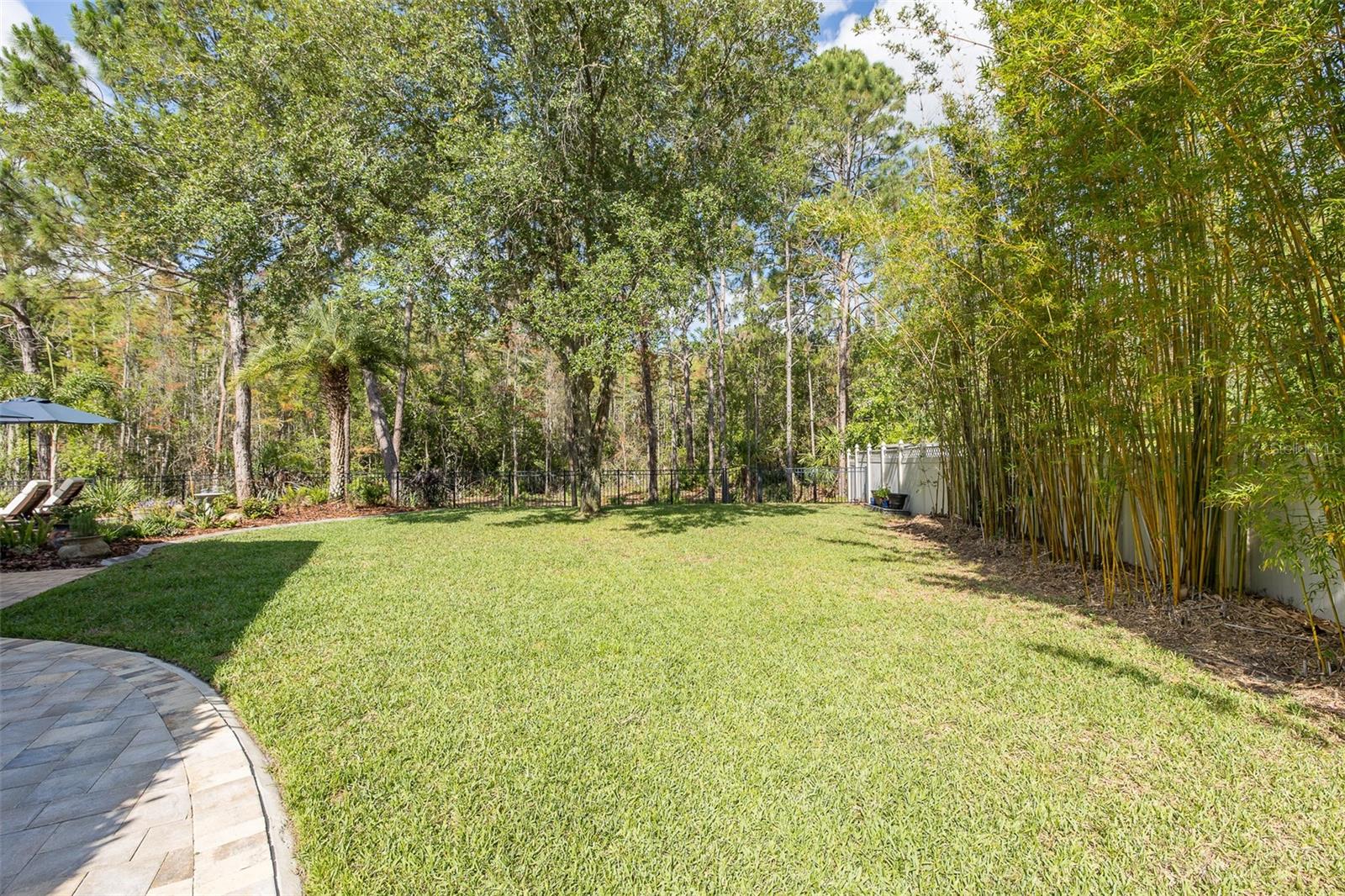 14810 NINEBARK CT, LAND O LAKES, FL, 34638