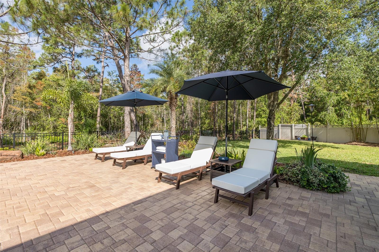 14810 NINEBARK CT, LAND O LAKES, FL, 34638