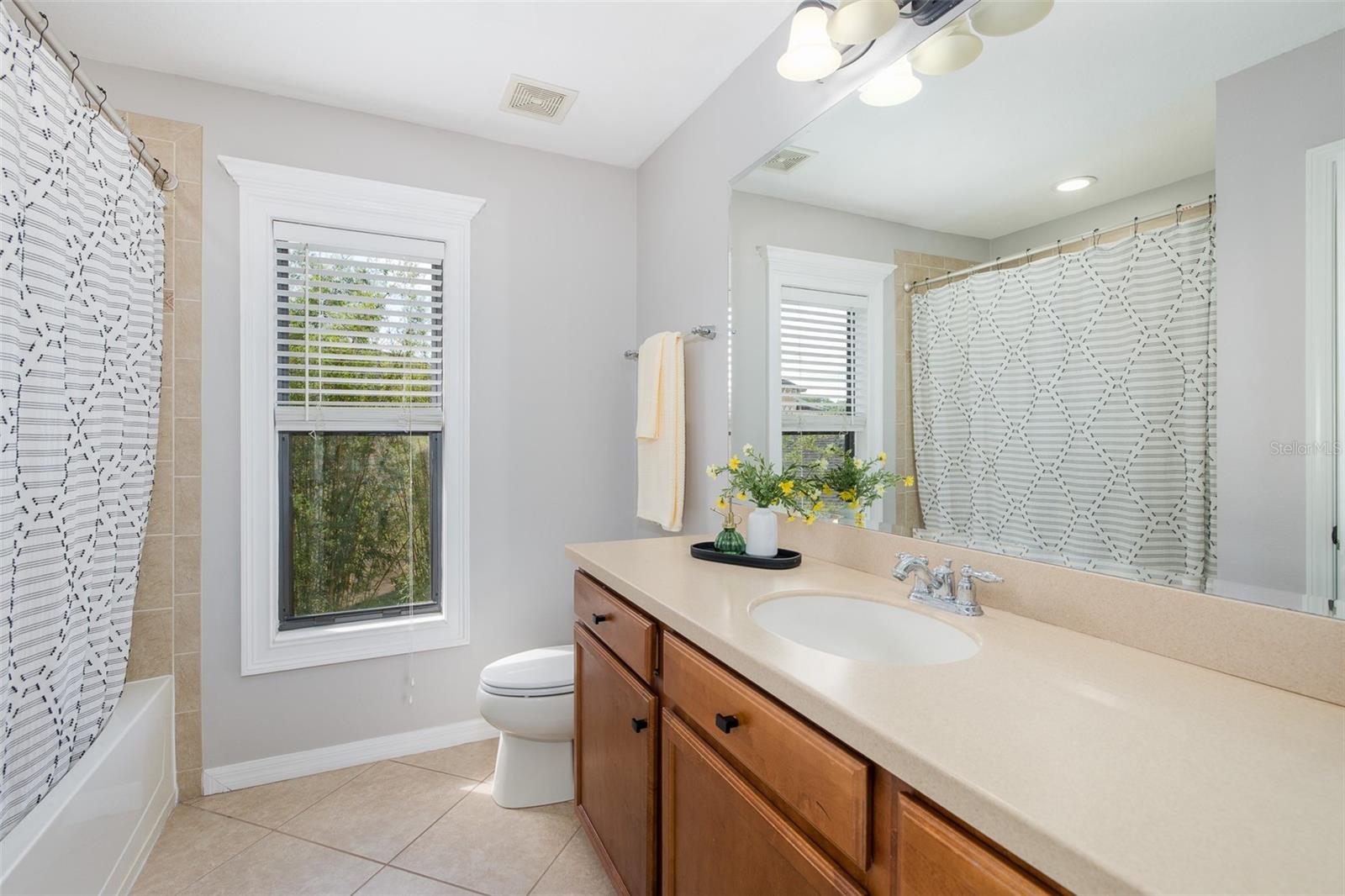 14810 NINEBARK CT, LAND O LAKES, FL, 34638