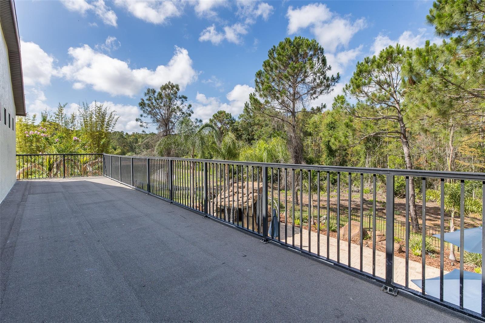 14810 NINEBARK CT, LAND O LAKES, FL, 34638