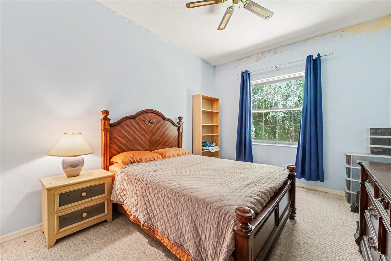 7210 WAREHAM DR, TAMPA, FL, 33647