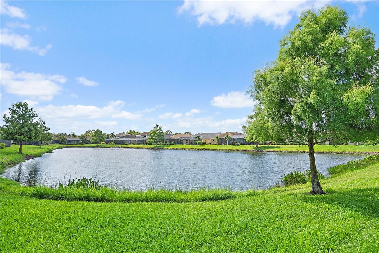 172 COHOSH RD, NOKOMIS, FL, 34275
