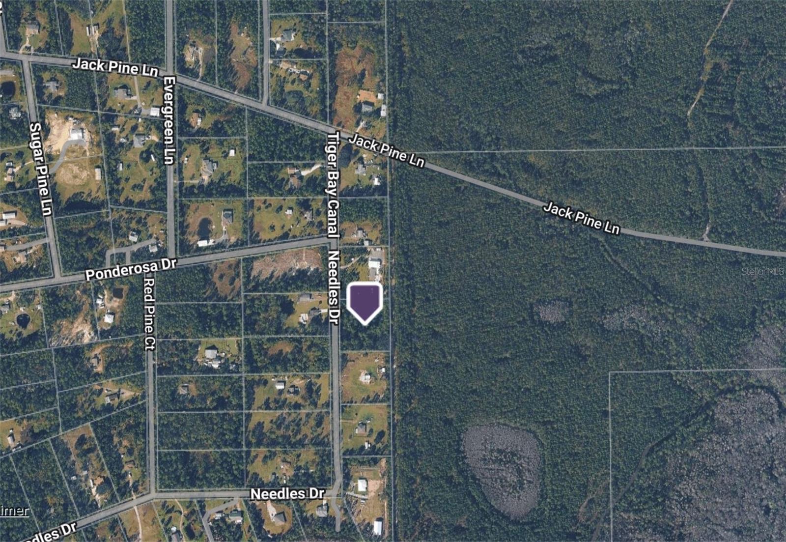 442 NEEDLES DR, ORMOND BEACH, FL, 32174