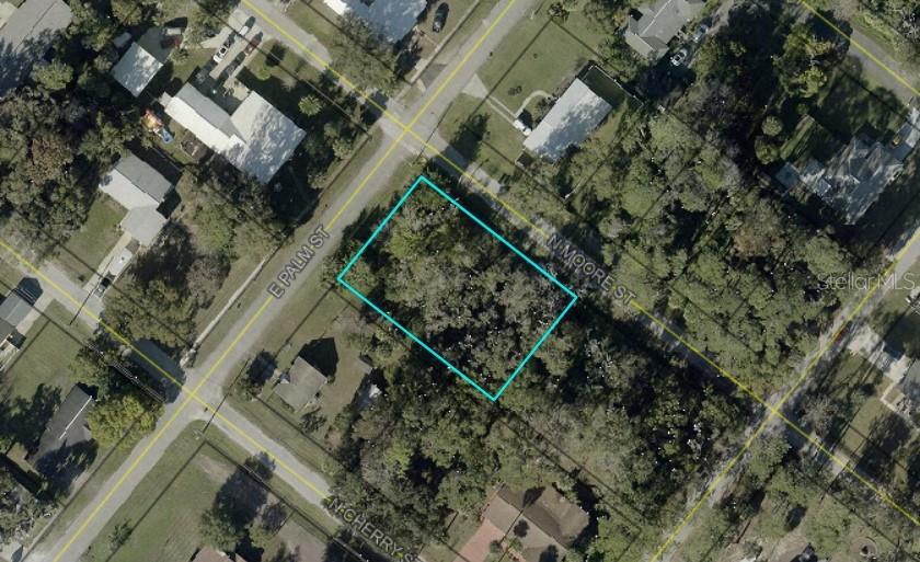 E PALM STREET, BUNNELL, FL, 32110