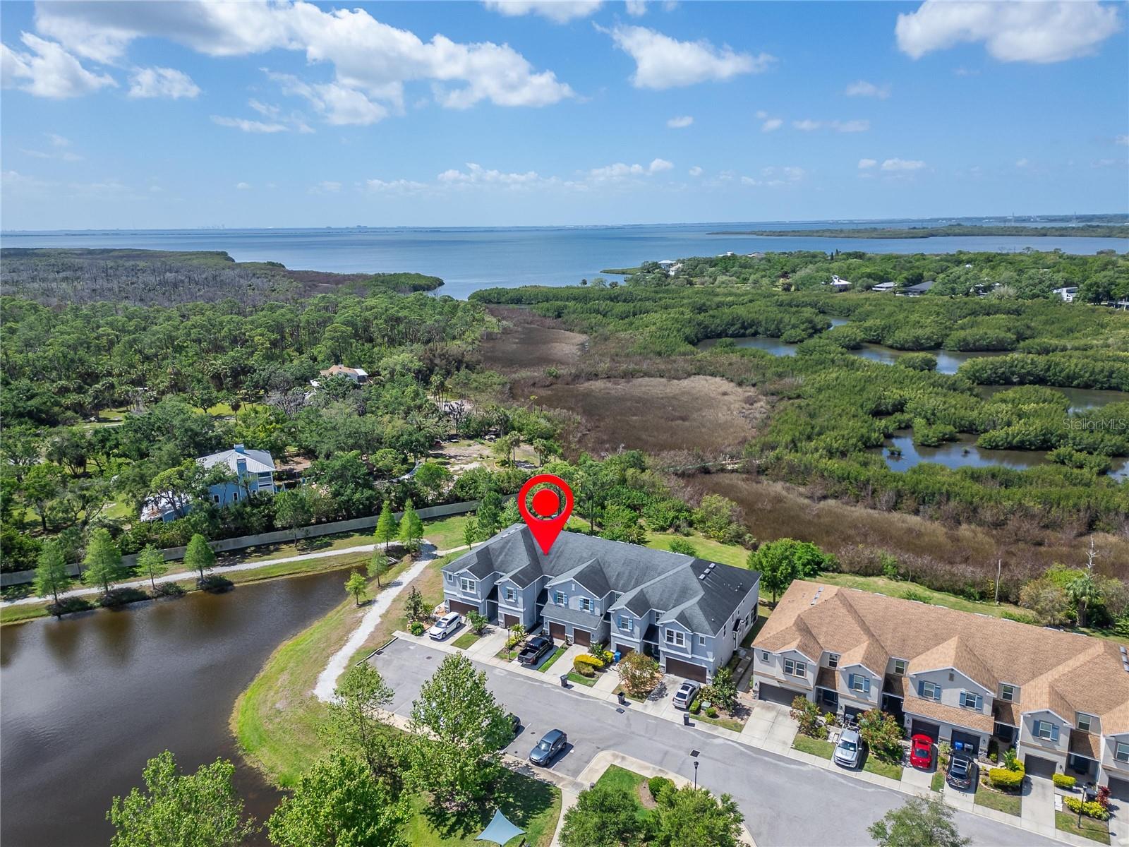 8108 MUDDY PINES PL, TAMPA, FL, 33635
