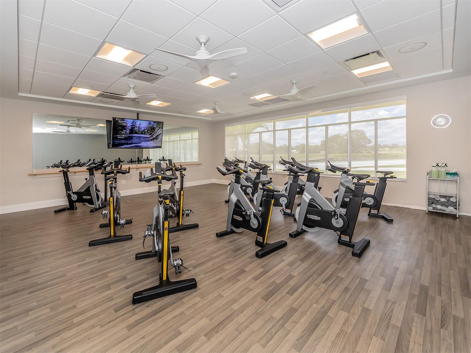 302 STONE BRIAR CREEK DR, VENICE, FL, 34292