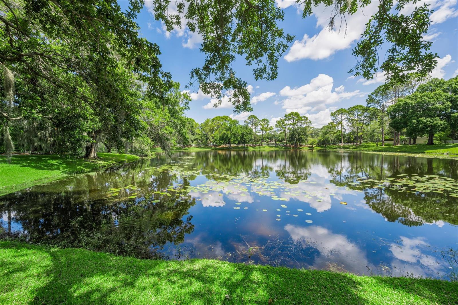 6207 IROQUOIS CT, ODESSA, FL, 33556