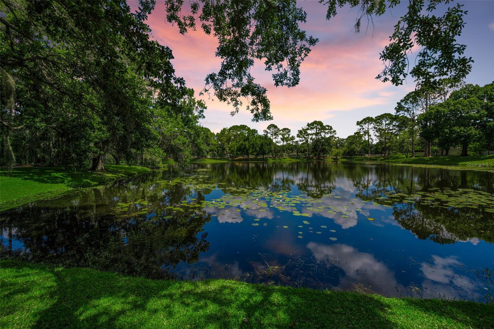 6207 IROQUOIS CT, ODESSA, FL, 33556