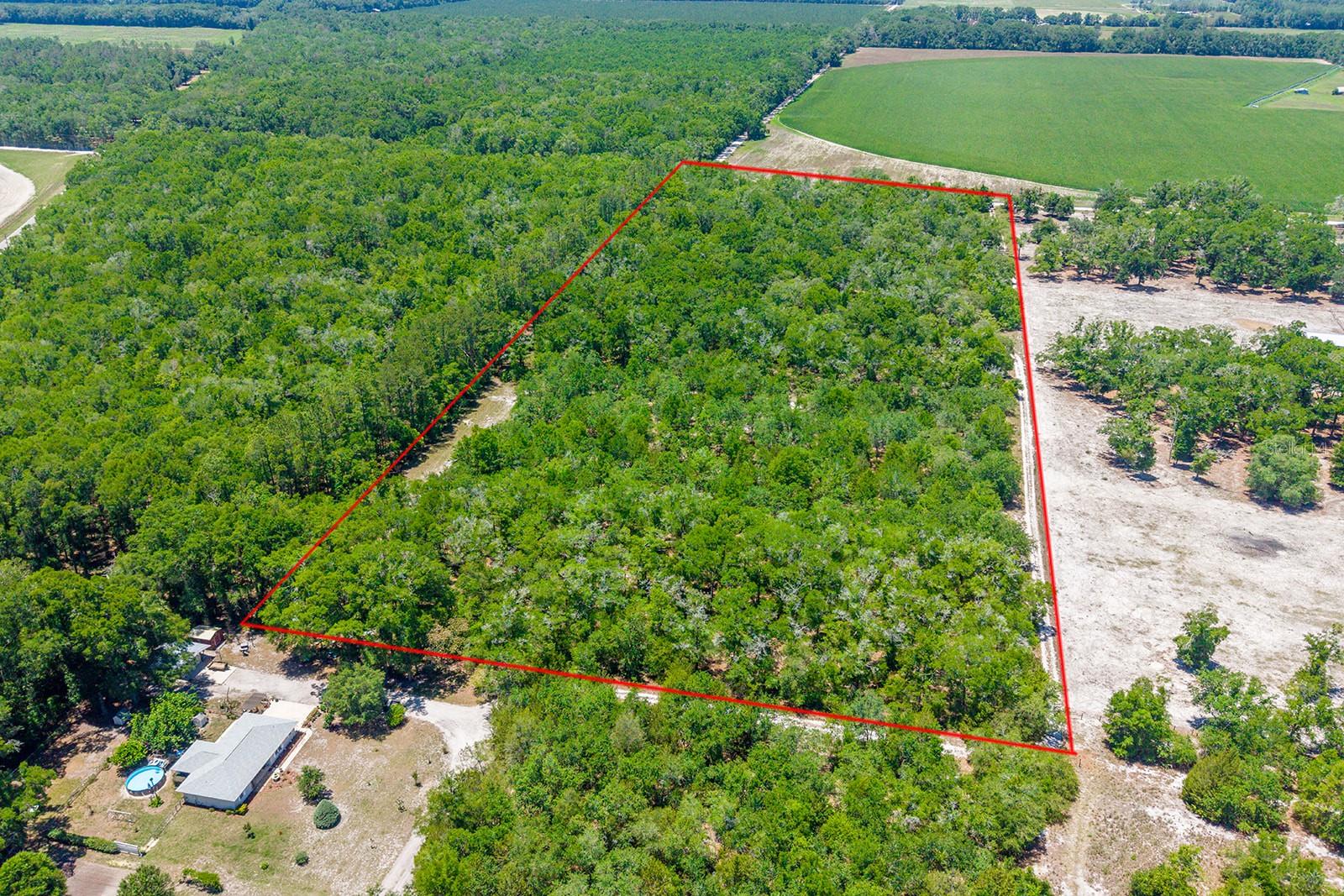 TBD NW 40 AVE, BELL, FL, 32619