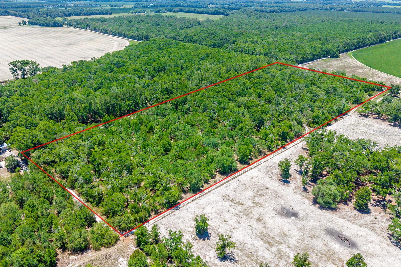 TBD NW 40 AVE, BELL, FL, 32619