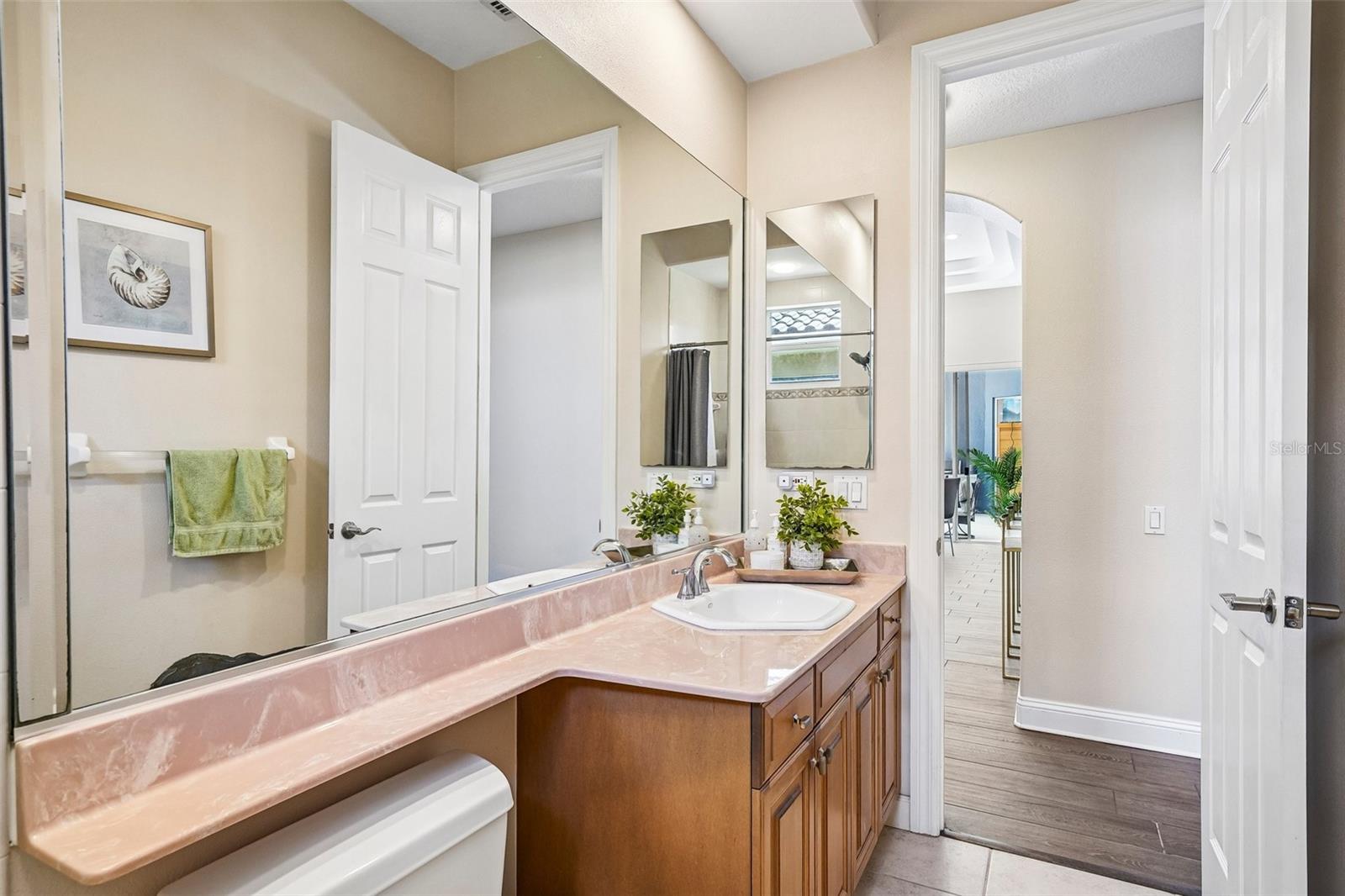 9039 WATERASH LN N, PINELLAS PARK, FL, 33782