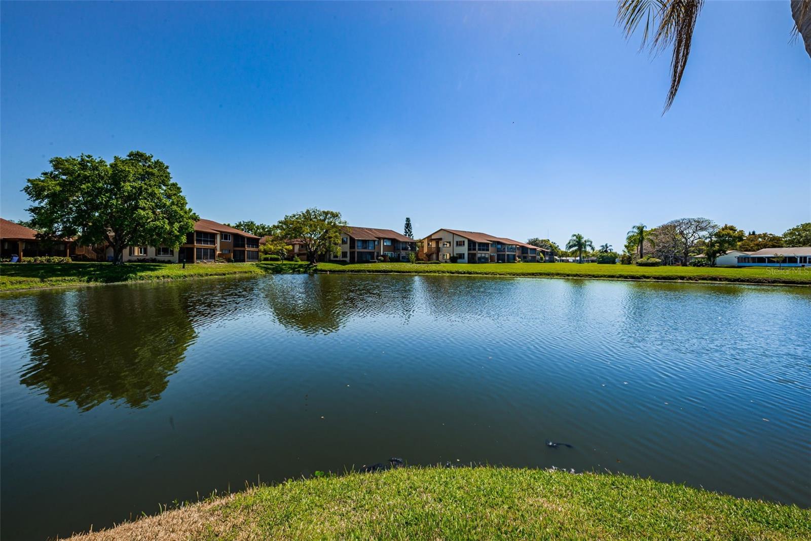 3835 LIGHTHOUSE WAY, NEW PORT RICHEY, FL, 34652