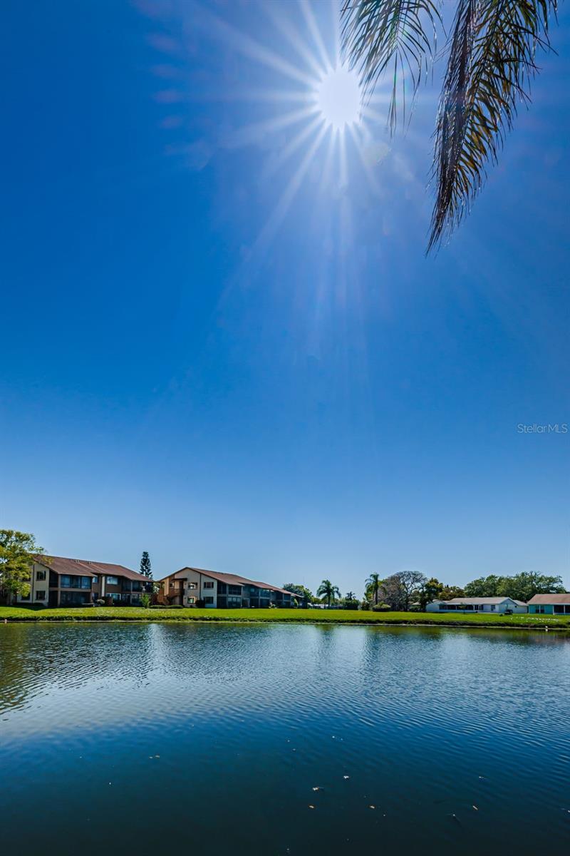 3835 LIGHTHOUSE WAY, NEW PORT RICHEY, FL, 34652