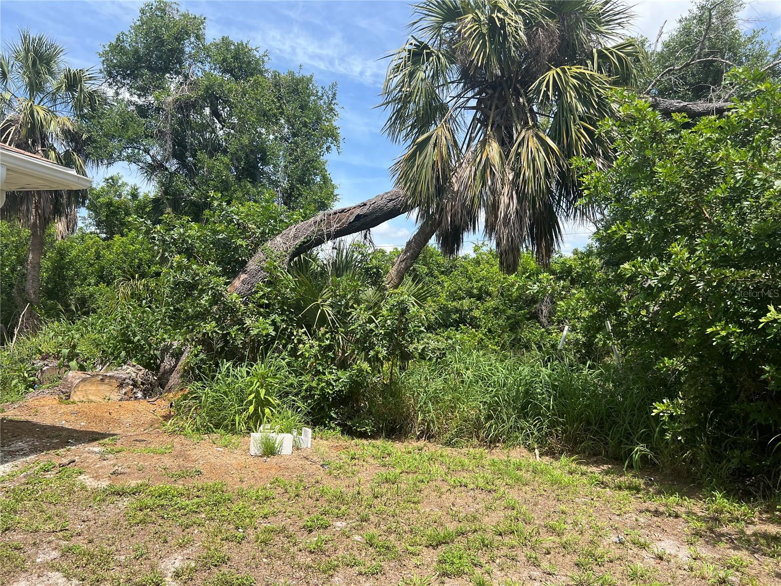 1516 ABEL ST, PORT CHARLOTTE, FL, 33952