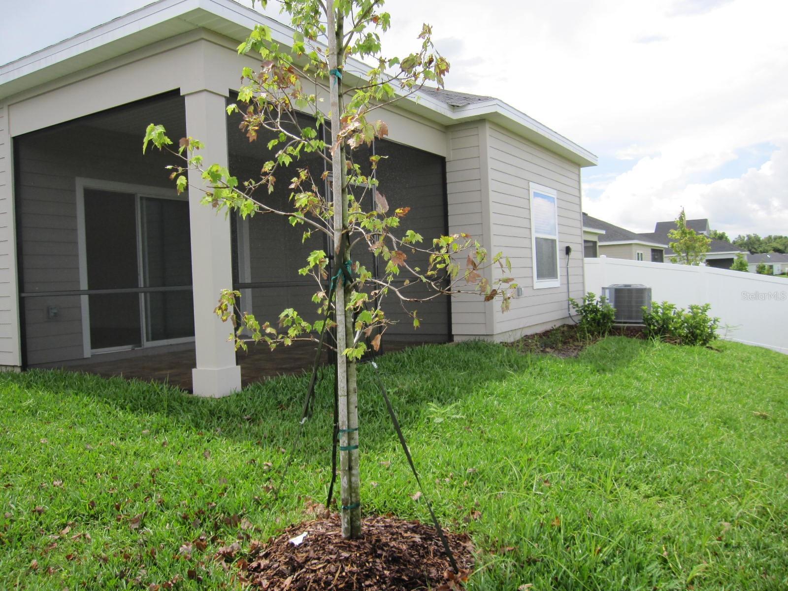 4494 NW 14TH LOOP, OCALA, FL, 34482