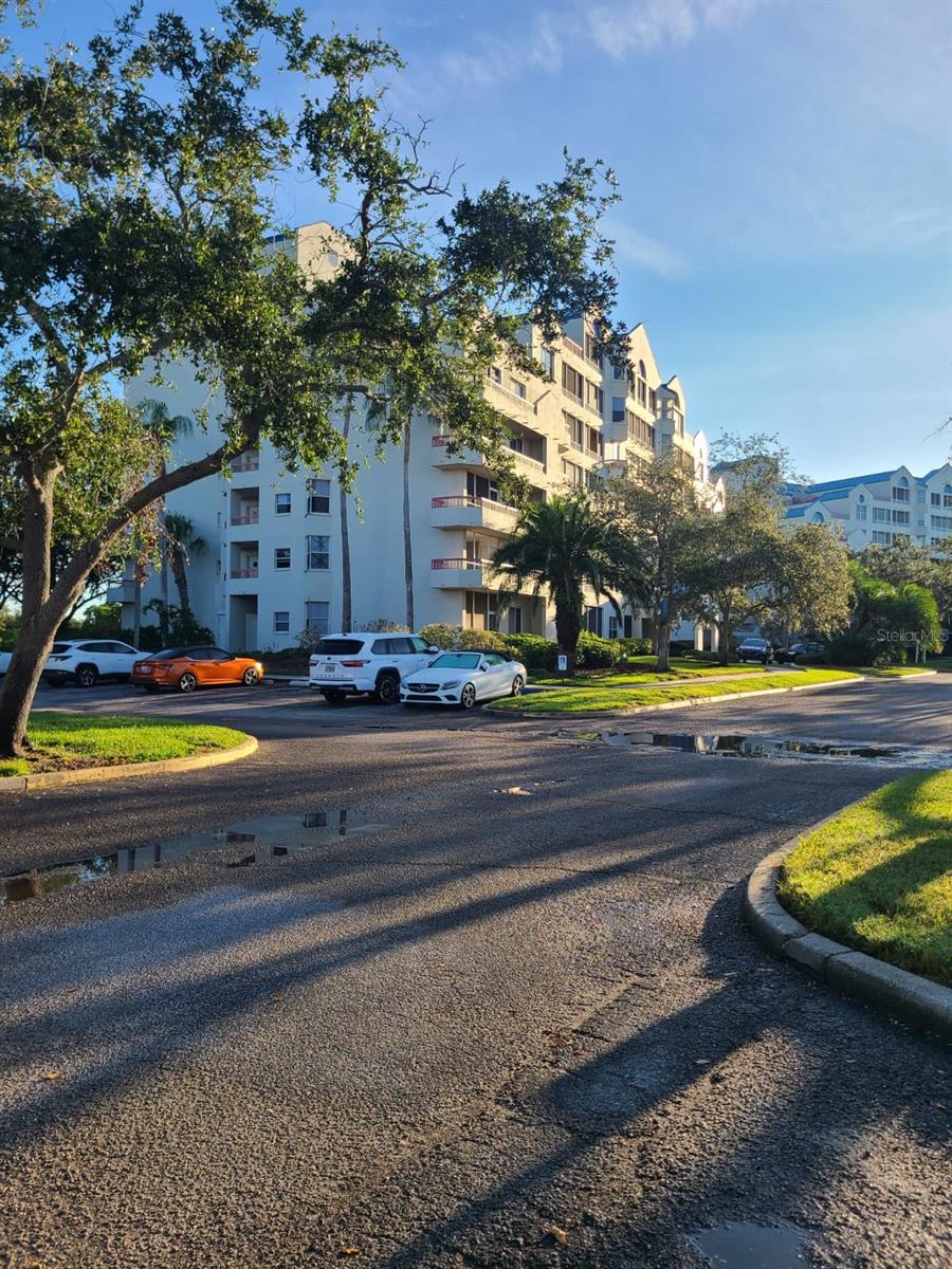 2333 FEATHER SOUND DR #A208, CLEARWATER, FL, 33762