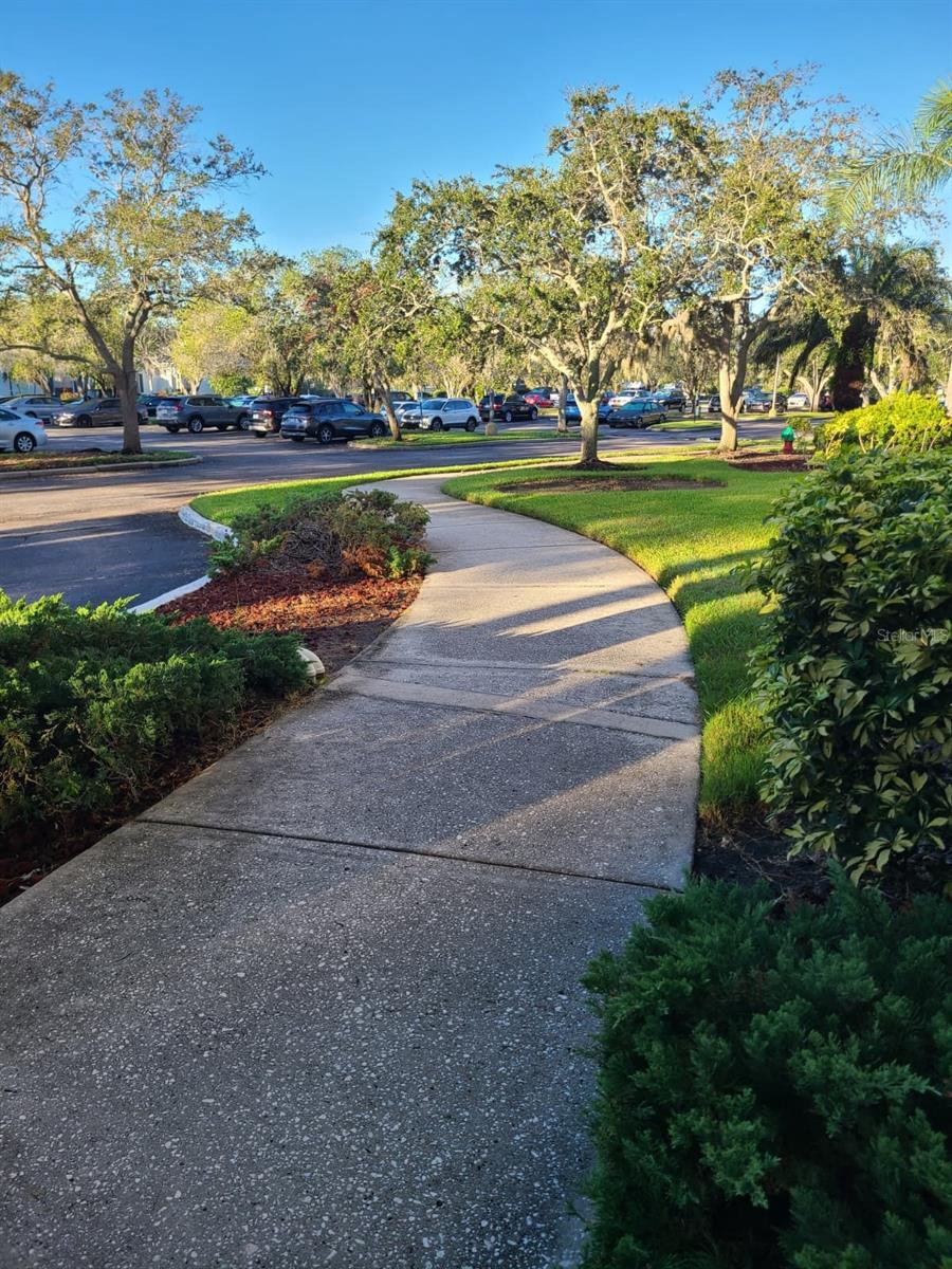 2333 FEATHER SOUND DR #A208, CLEARWATER, FL, 33762