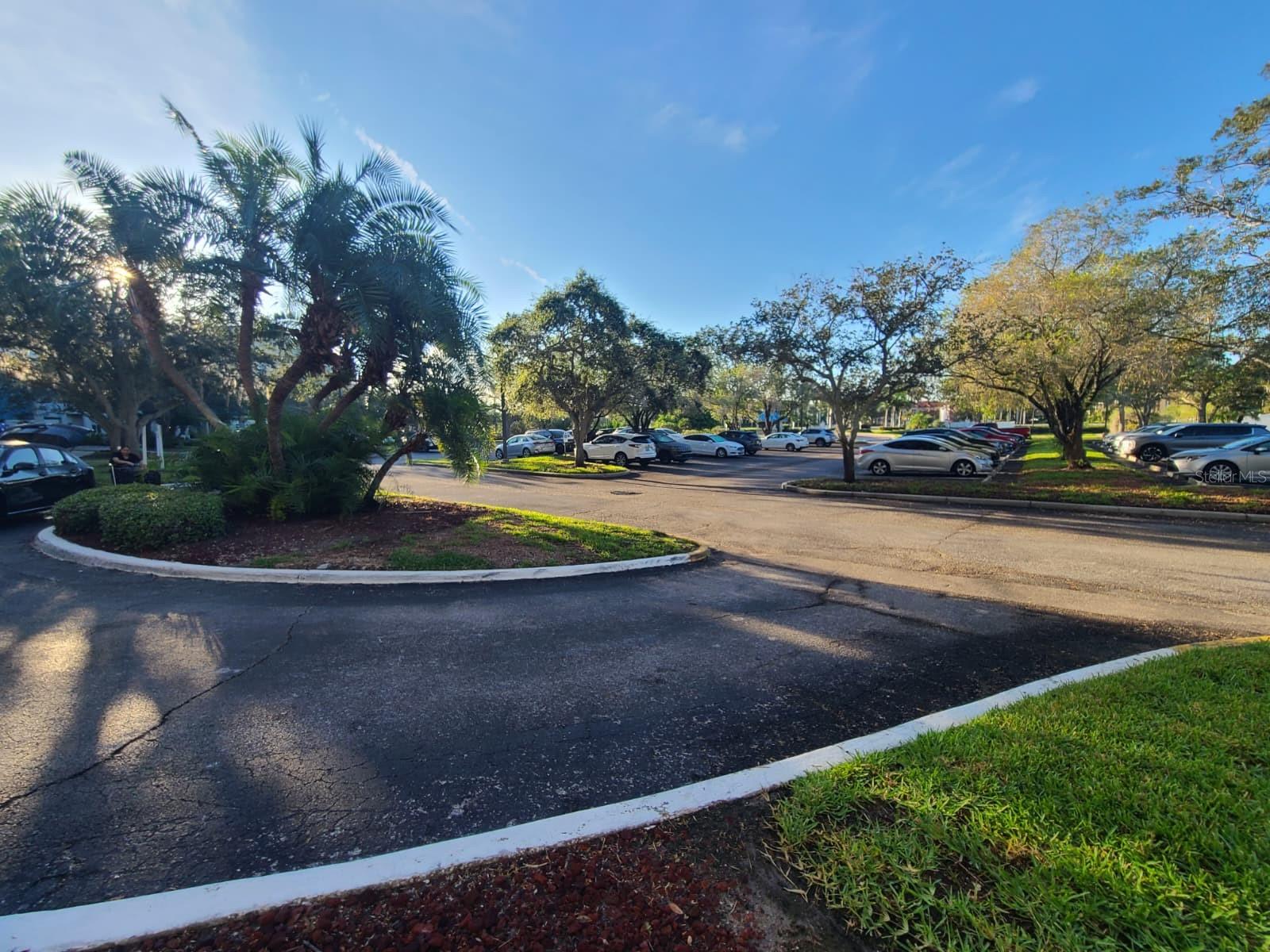2333 FEATHER SOUND DR #A208, CLEARWATER, FL, 33762