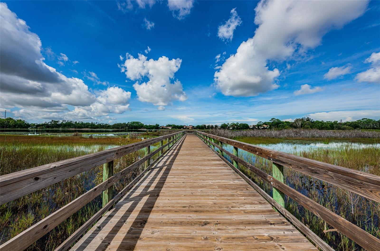 2330 BARTON LN, CLEARWATER, FL, 33759