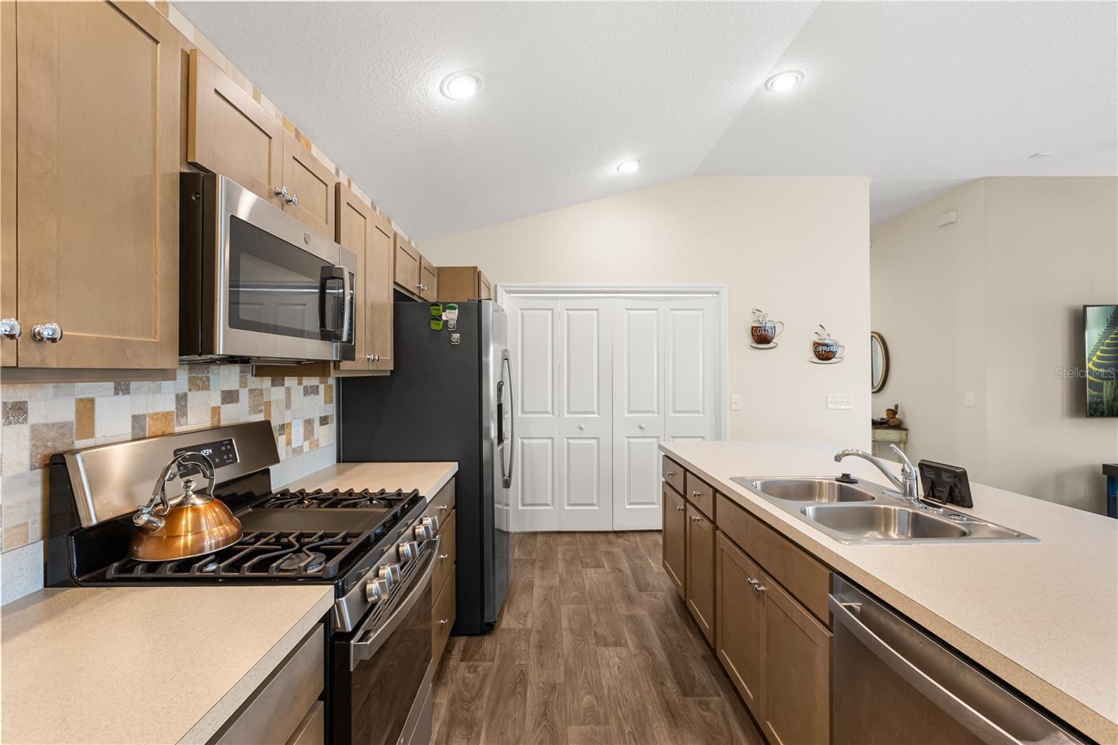 4295 FREDDA TER, THE VILLAGES, FL, 32163