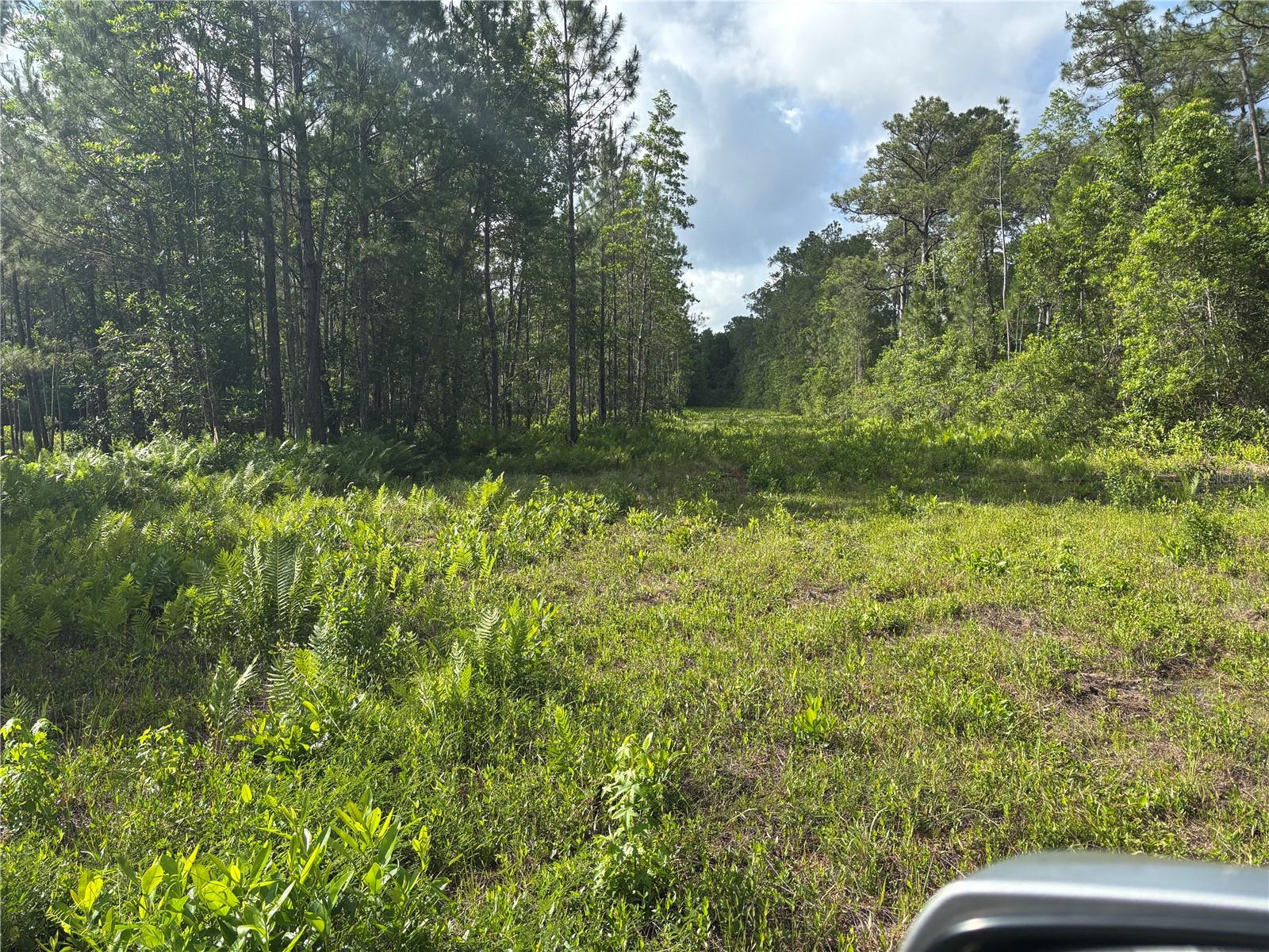 0 N US HWY 17, SEVILLE, FL, 32190