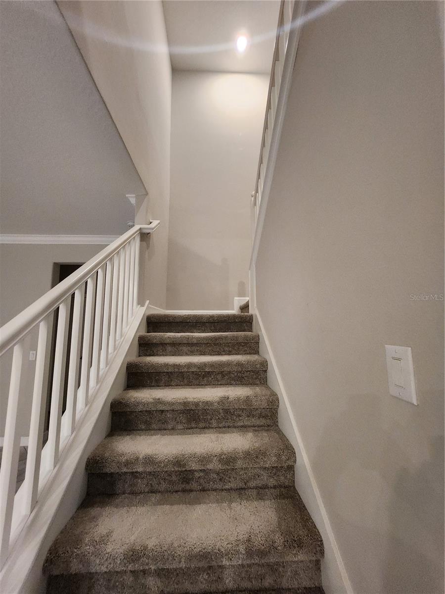 25188 LAMBRUSCO LOOP, LUTZ, FL, 33559