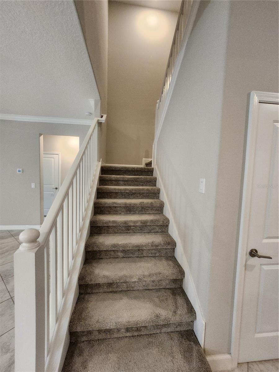 25188 LAMBRUSCO LOOP, LUTZ, FL, 33559