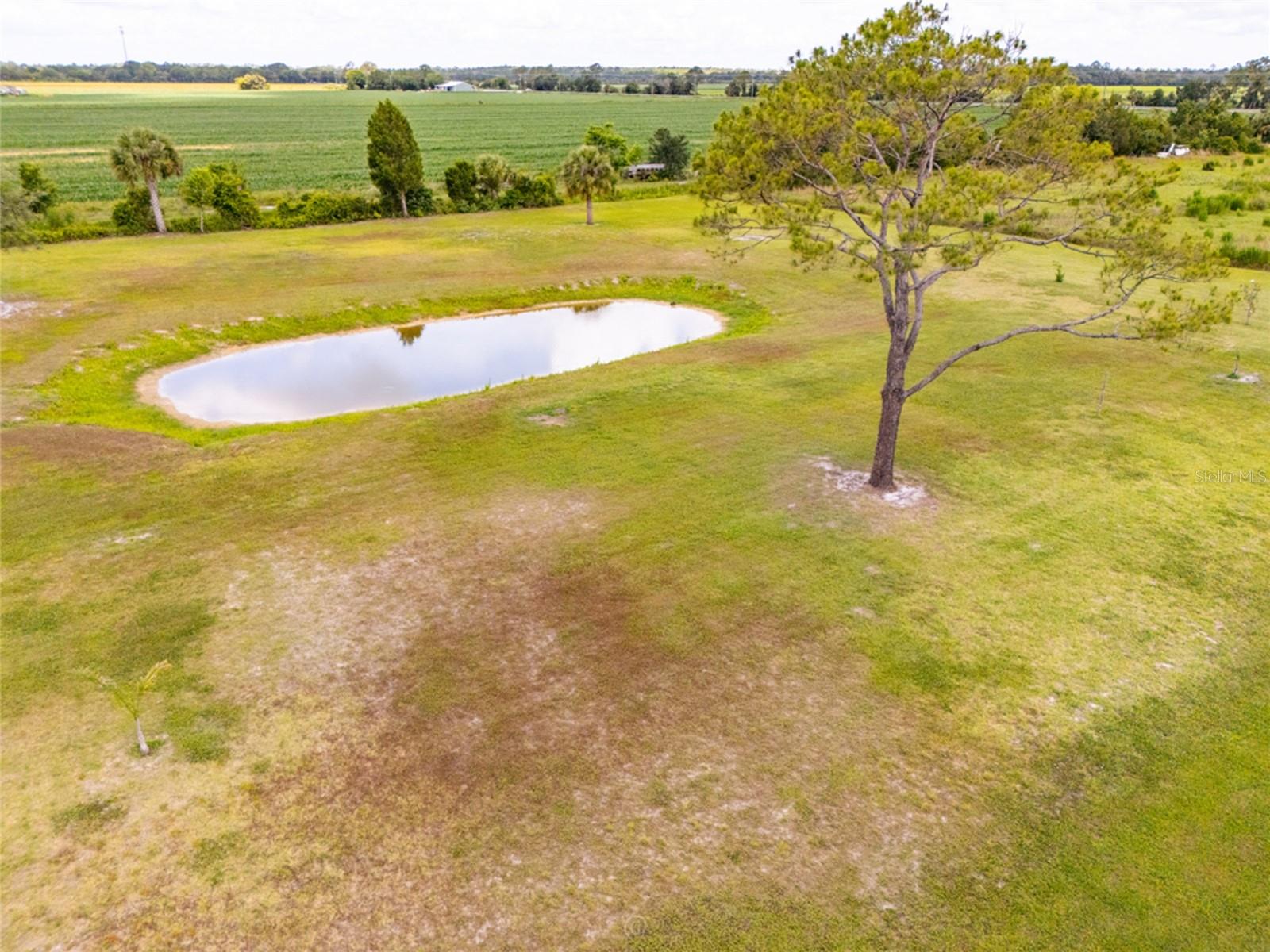 222 COUNTY ROAD 15, BUNNELL, FL, 32110