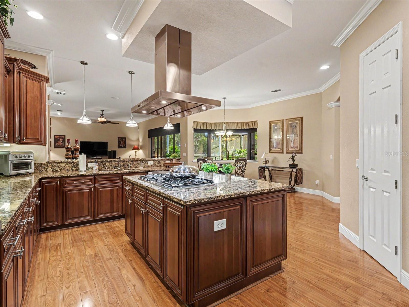 339 CORBETT RD, LITHIA, FL, 33547