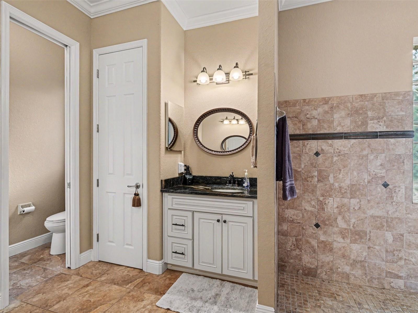339 CORBETT RD, LITHIA, FL, 33547