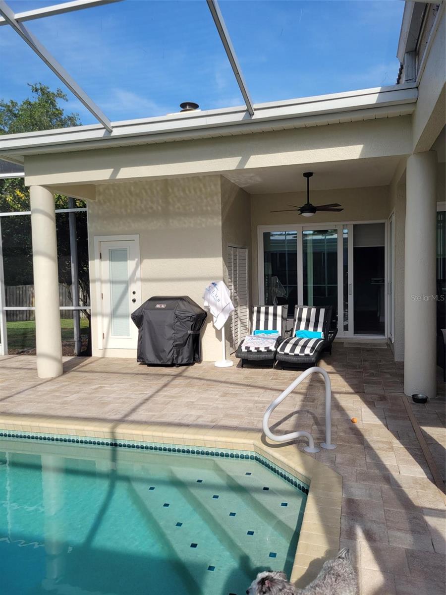 961 LIVE OAK AVE NE, ST PETERSBURG, FL, 33703