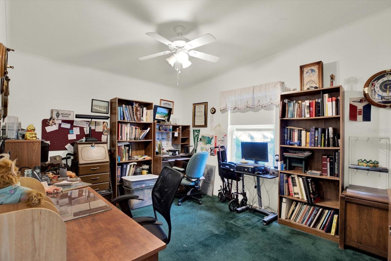 8010 CEDAR COVE AVE, BROOKSVILLE, FL, 34613