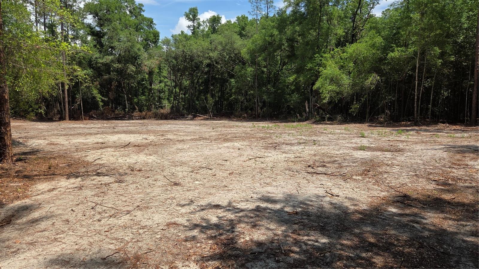 SW 61ST PLACE, NEWBERRY, FL, 32669