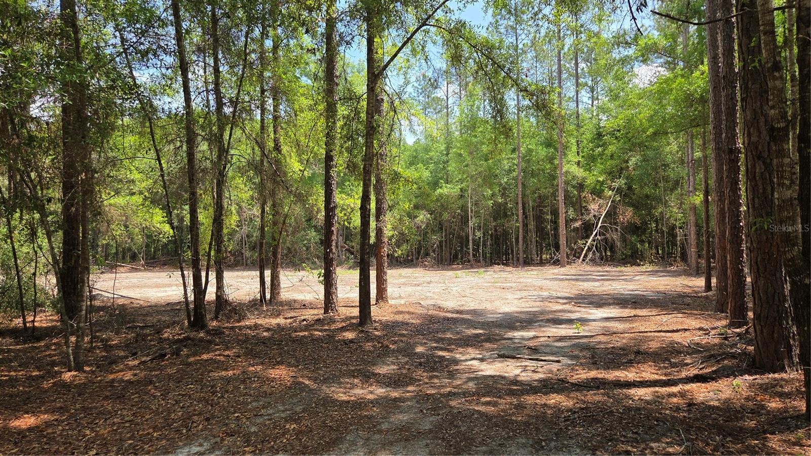 SW 61ST PLACE, NEWBERRY, FL, 32669