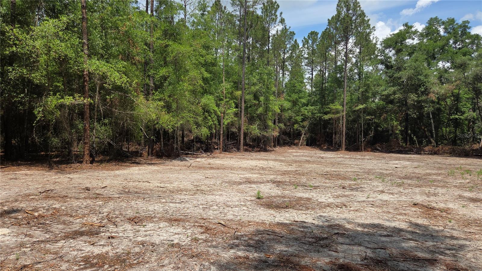 SW 61ST PLACE, NEWBERRY, FL, 32669