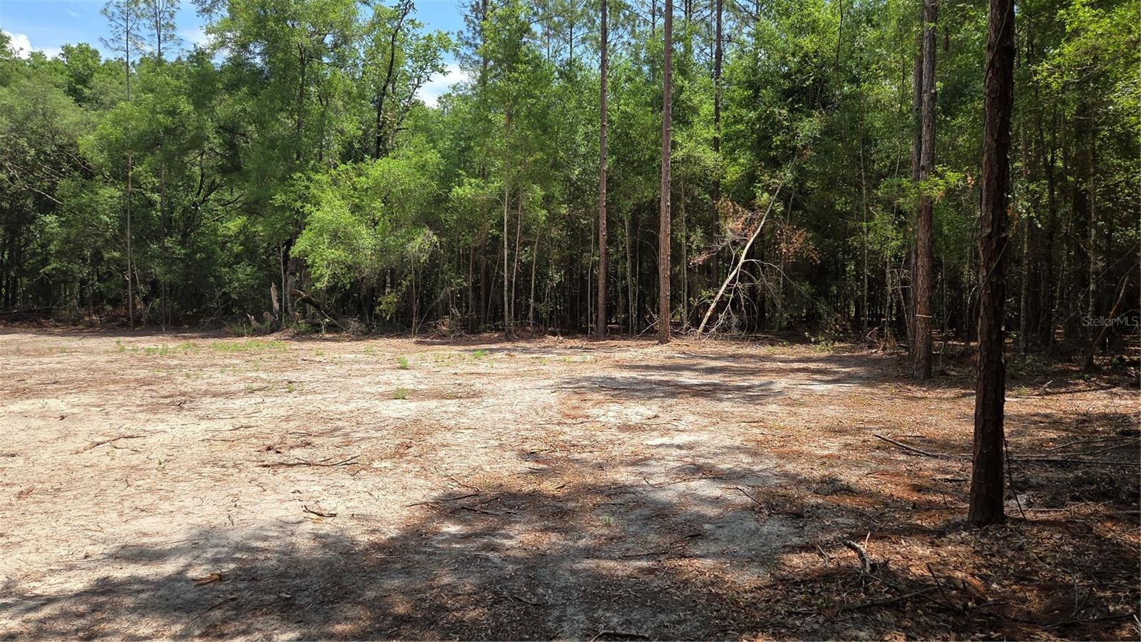 SW 61ST PLACE, NEWBERRY, FL, 32669