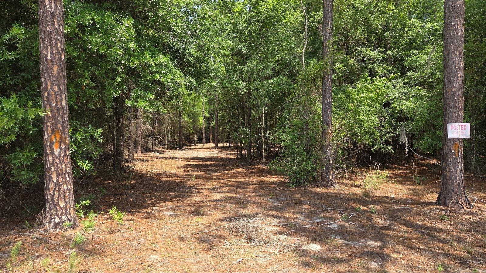 SW 61ST PLACE, NEWBERRY, FL, 32669