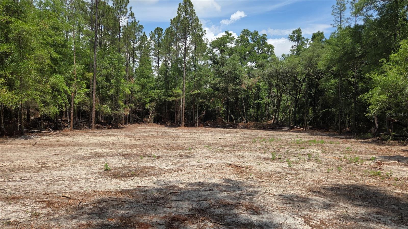 SW 61ST PLACE, NEWBERRY, FL, 32669
