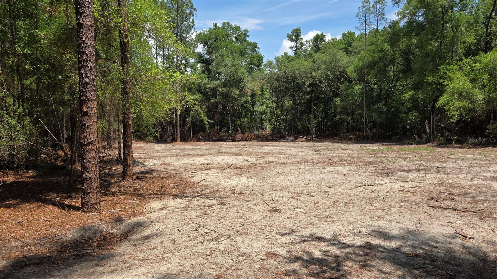 SW 61ST PLACE, NEWBERRY, FL, 32669