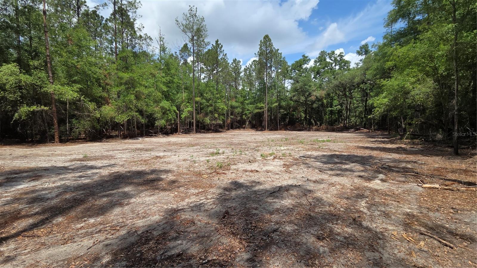 SW 61ST PLACE, NEWBERRY, FL, 32669