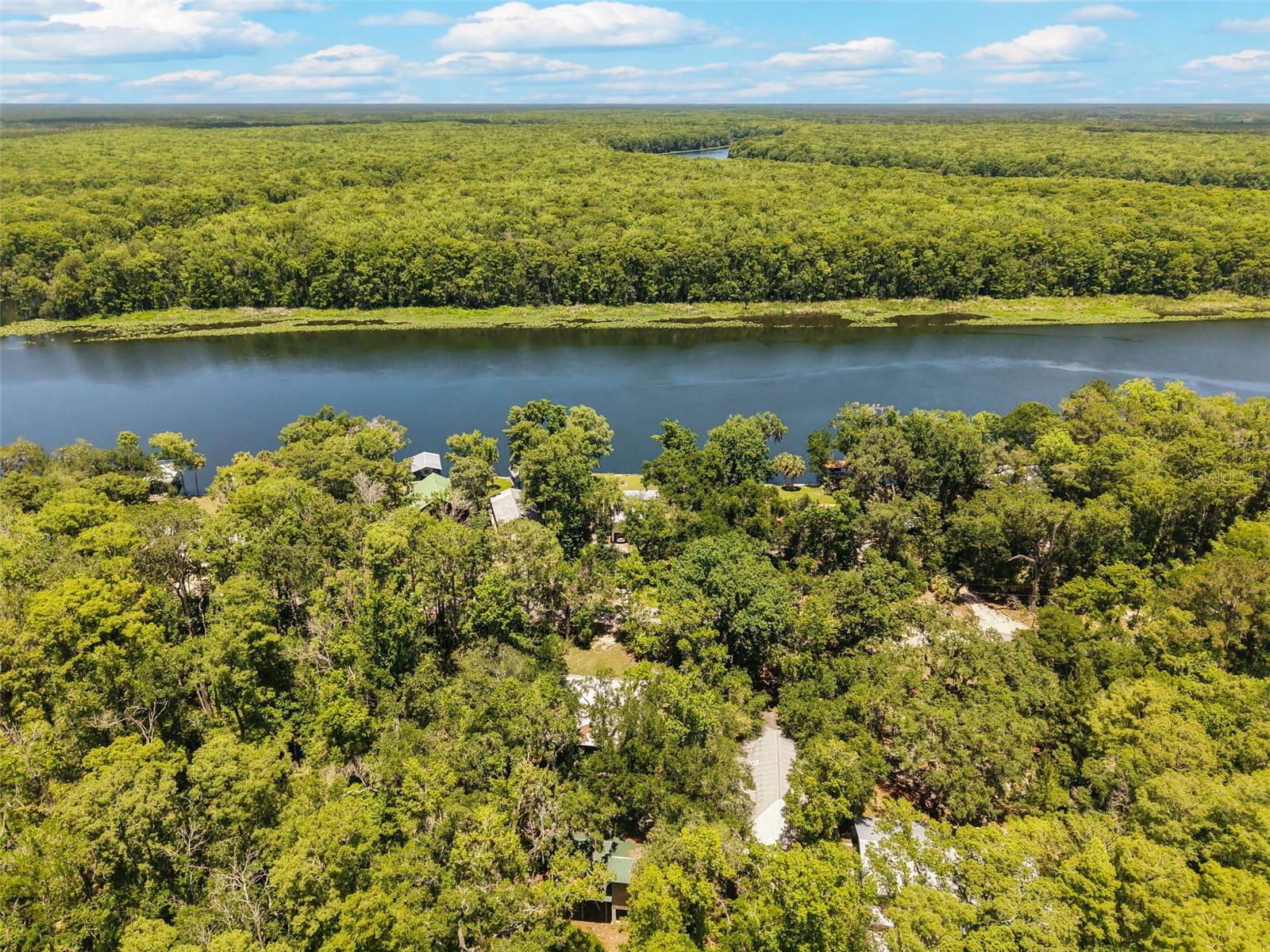 15471 NW 46TH LN, CHIEFLAND, FL, 32626