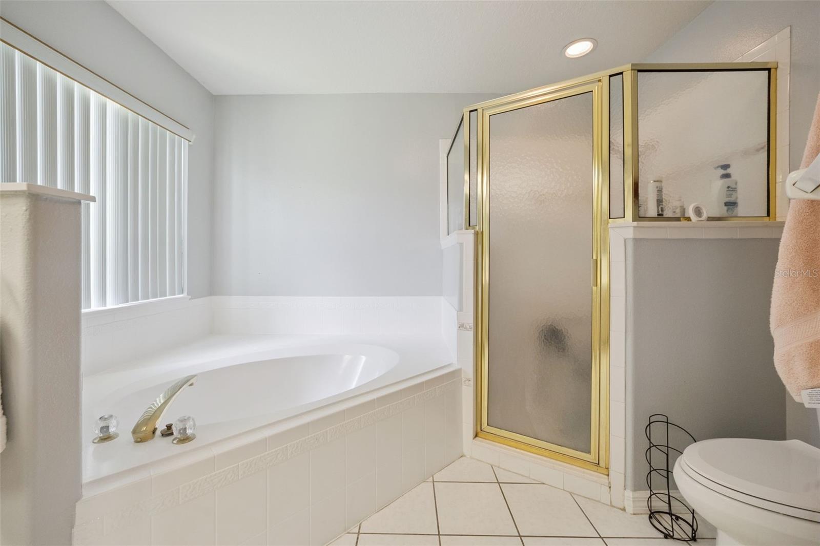 5825 PRINCESS CAROLINE PL, LEESBURG, FL, 34748