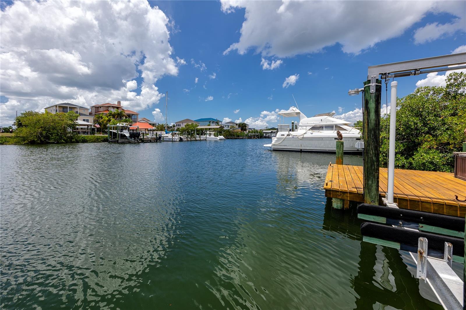 1116 KINGFISH PL, APOLLO BEACH, FL, 33572