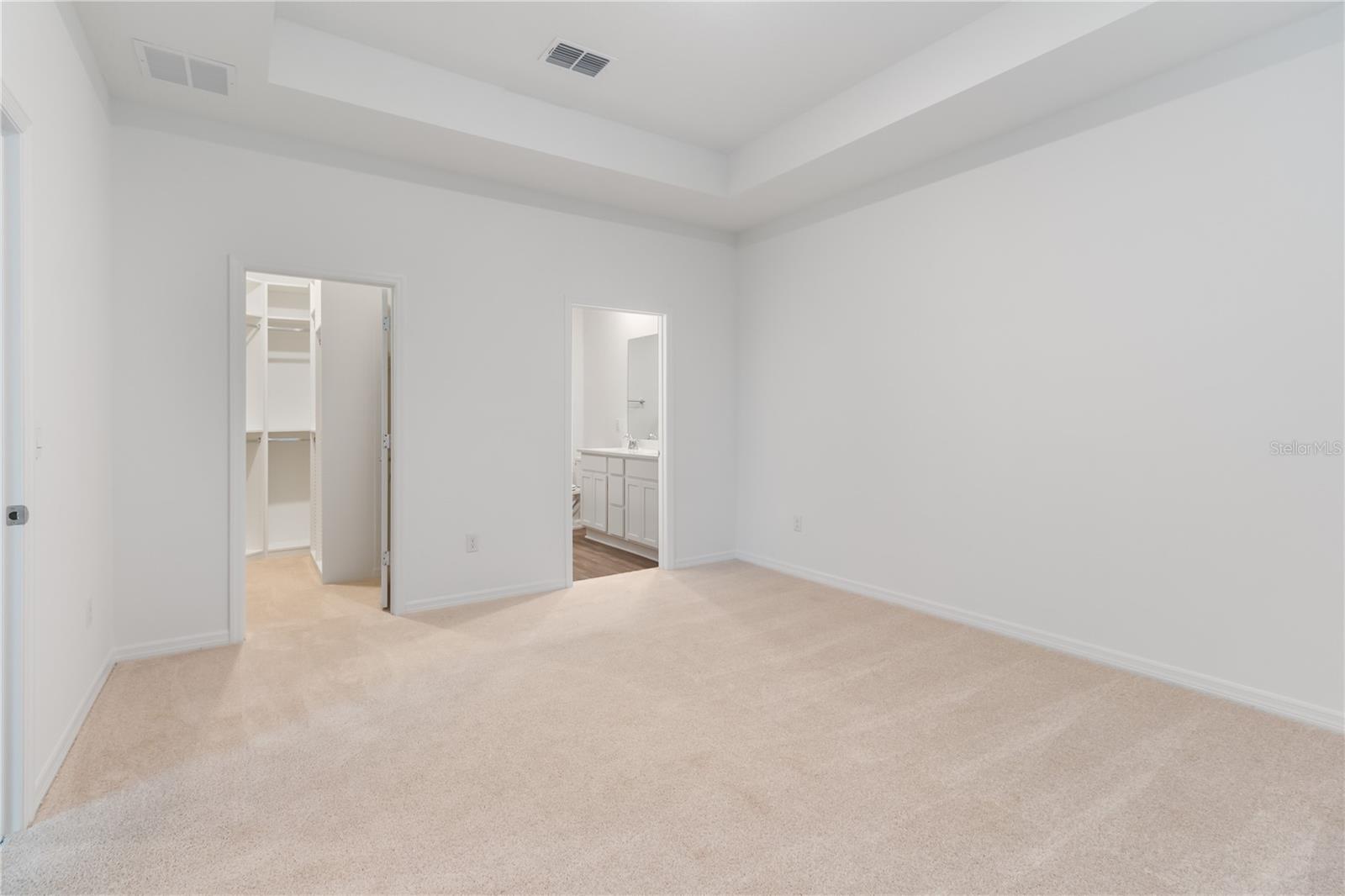 31365 PAPER BIRCH ST, WESLEY CHAPEL, FL, 33545