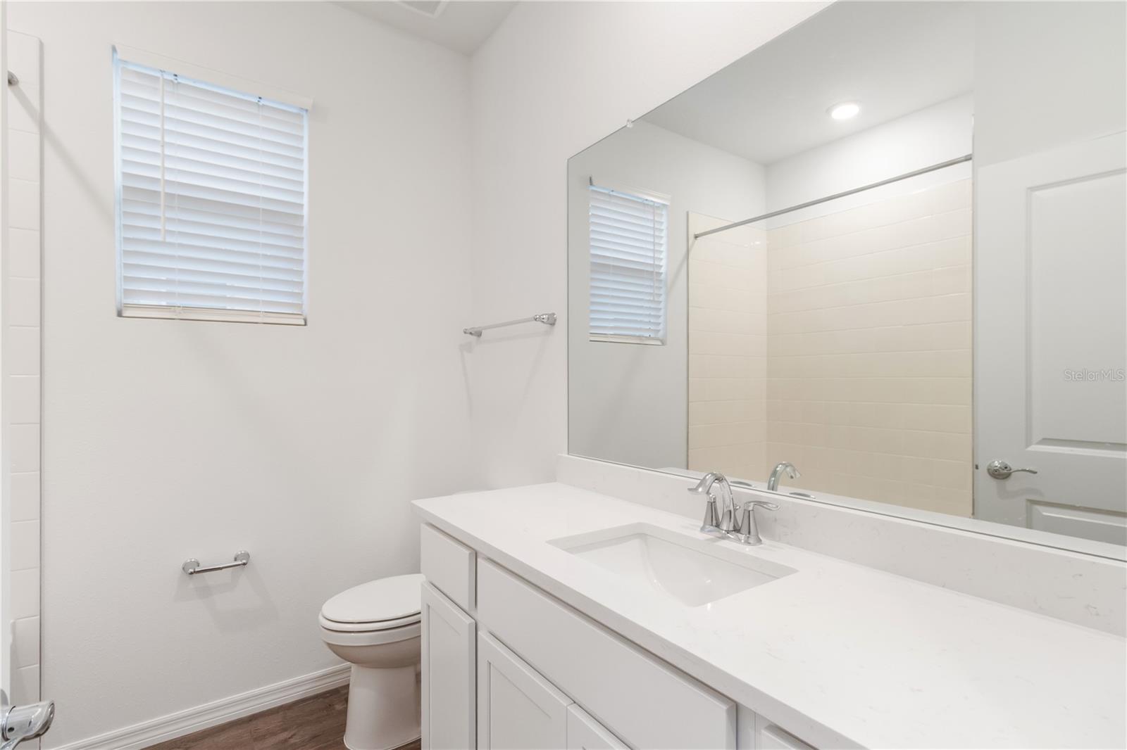 31365 PAPER BIRCH ST, WESLEY CHAPEL, FL, 33545